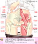  anatomy arm_at_side ass_visible_through_thighs assam black_legwear bone close-up girls_und_panzer groin highres hip_bones long_sleeves lower_body muscle orange_pekoe panties panty_pull pantyhose pantyhose_pull partially_translated rosehip sekai_saisoku_no_panda shirt shirt_lift solo spine translation_request underwear white_background white_panties white_shirt x-ray 