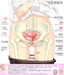  anatomy arm_at_side ass_visible_through_thighs assam black_legwear bone close-up girls_und_panzer groin highres hip_bones long_sleeves lower_body orange_pekoe panties panty_pull pantyhose pantyhose_pull partially_translated pussy rosehip sekai_saisoku_no_panda shirt shirt_lift solo spine translation_request underwear uterus white_background white_panties white_shirt x-ray 