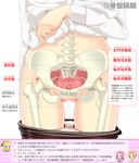  anatomy arm_at_side ass_visible_through_thighs assam black_legwear bone close-up girls_und_panzer groin highres hip_bones long_sleeves lower_body muscle orange_pekoe panties panty_pull pantyhose pantyhose_pull partially_translated rosehip sekai_saisoku_no_panda shirt shirt_lift solo spine translation_request underwear white_background white_panties white_shirt x-ray 