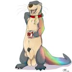  armpits balls beverage black_lips coffee collar feral haswell male mammal mustelid open_mouth otter otterlike paws penis rainbow river_otter semi-anthro soft_hyper spots yawn 