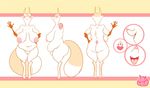  big_breasts big_butt breasts butt canine female fox heid&iacute;&iacute; inverted_nipples mammal model_sheet nipples nude pussy ryarik slightly_chubby solo thick_thighs 