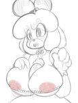  2016 animal_crossing anthro areola big_breasts breasts canine dog erect_nipples erection female huge_breasts isabelle_(animal_crossing) male mammal nintendo nipples penis sex shih_tzu titfuck twindrills video_games 