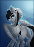  black_hair blue_eyes cutie_mark equine eyelashes fan_character feathered_wings feathers female feral fur hair laura_zony looking_at_viewer mammal my_little_pony pegasus silentwulv smile solo standing white_feathers white_fur wings 