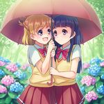  :d asahina_mirai blonde_hair bow bowtie braid flower french_braid highres hydrangea izayoi_liko long_hair mahou_girls_precure! multiple_girls nature open_mouth pleated_skirt precure purple_eyes purple_hair sayousuke school_uniform shared_umbrella short_hair skirt smile tree tsunagi_first_middle_school_uniform umbrella vest 