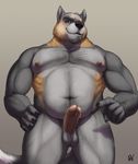  2016 5_fingers anthro balls biceps black_nose brown_eyes brown_nipples canine claws digital_media_(artwork) erection fox front_view fur grey_fur hand_on_hip hi_res humanoid_penis looking_at_viewer male mammal manly multicolored_fur musclegut muscular muscular_male navel nipples nude pecs penis pointing portrait precum raised_eyebrow rov signature simple_background slightly_chubby smile solo standing tan_fur three-quarter_portrait 
