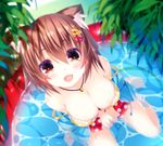  :d animal_ears blurry breasts brown_hair cat_ears cleavage depth_of_field from_above hair_ornament hairclip highres jewelry large_breasts looking_at_viewer looking_up necklace ooji_cha open_mouth original polka_dot polka_dot_swimsuit pool short_hair smile solo swimsuit 