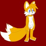  animated balls blue_eyes canine chest_tuft flaccid fox fur hair male mammal miles_prower nude penis simple_background smile solo sonic_(series) standing steve_farfan tuft 