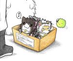  animal animalization box cat cherry_blossoms closed_eyes colored_pencil_(medium) commentary cub dainamitee eighth_note female_admiral_(kantai_collection) for_adoption glasses hat in_box in_container kantai_collection kitten lion lion_cub marimo military military_uniform musashi_(kantai_collection) musical_note no_humans non-human_admiral_(kantai_collection) nose_bubble o_o shinano_(kantai_collection) shoes simple_background spoken_musical_note traditional_media translated uniform white_background yamato_(kantai_collection) 