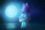  anthro breasts canine crossed_arms ear_piercing female half-closed_eyes hi_res looking_at_viewer mammal navel night_sky nude outside piercing solo standing tsukinori 