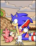  amy_rose cloudz cum cum_in_pussy cum_inside dreamcastzx1 female hedgehogs male male/female on_top sonic_(series) sonic_the_hedgehog 