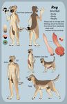  anatomically_correct animal_genitalia animal_penis anthro balls butt canine canine_penis cum dog erection feral fur half-closed_eyes hi_res knot looking_at_viewer male mammal model_sheet nude penis reg regsmutt simple_background smile solo tongue 