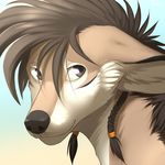  anthro canine female fur hair hitmore mammal simple_background smile solo 