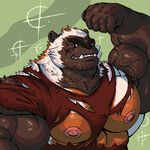  abs anthro belly biceps big_biceps black_eyes bluekumabox brown_hair clenched_teeth clothing flexing front_view hair hi_res looking_at_viewer male mammal muscular muscular_male mustelid nipples pecs pose shirt simple_background solo standing teeth vein white_hair wolverine 