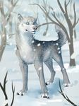  canine feral forest fur hitmore looking_at_viewer male mammal outside smile snow solo standing tree 