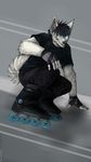  anthro canine clothed clothing ear_piercing fingerless_gloves gloves hitmore inline_skates male mammal piercing simple_background smile solo teeth 