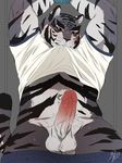  anthro armpits balls clothed clothing colored erection feline male mammal mohumohuotou pants_down partially_clothed penis simple_background solo tiger 