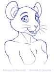  antonya_flynn bust_(disambiguation) female mammal monocrome mouse quaylak rodent 