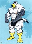  2016 anthro avian ayden_(brogulls) beak big_bulge bird bulge hyper hyper_muscles male modem_redpill muscular nipples pecs seagull solo 