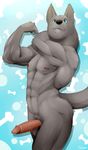  2016 abs anthro balls biceps black_nose blue_background blue_eyes canine digital_media_(artwork) dog elbow_tufts flexing fur grey_fur hand_on_neck humanoid_hands male mammal muscular muscular_male navel neck_tuft nipples nude pattern_background pecs penis pubes simple_background slypon smile solo standing tuft 