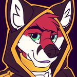  2016 anthro black_markings black_nose canine clothed clothing collar digital_media_(artwork) facial_markings fox front_view fur green_eyes headshot_portrait higsby hoodie icon inner_ear_fluff looking_at_viewer low_res male mammal markings multicolored_fur portrait red_fur simple_background smile solo white_fur zoru 