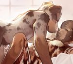  2011 african_wild_dog anthro armpits australian_shepherd bed bedroom black_nose breasts brown_fur canine day demicoeur digital_media_(artwork) dog duo eyes_closed female fur hi_res inside lying male male/female mammal multicolored_fur nipples nude on_back on_bed restricted_palette romantic_couple shuki small_breasts window 