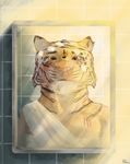  2016 anthro bandage bare_chest bathroom broke brown_eyes clothed clothing digital_media_(artwork) disney feline fur inside invalid_tag light looking_at_viewer male mammal mirror nude portrait reflection scratches simple_background solo standing stripes sun tiger topless velsen white_fur wounded yellow_fur yellow_light zootopia 