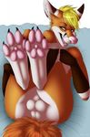  2015 4_toes anthro balls bed blonde_hair blue_eyes brown_fur canine claws digital_media_(artwork) digitigrade facial_markings fangs foot_focus fox foxeh fur hair half-closed_eyes hi_res hindpaw legs_up looking_at_viewer lying male mammal markings muffin_angel multicolored_fur nude on_back on_bed open_mouth orange_fur pawpads paws perineum pink_nose pink_pawpads pink_tongue simple_background solo toe_claws toes tongue white_background white_fur 