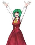  :d arms_up ascot blood blood_on_face cowboy_shot eyebrows eyebrows_visible_through_hair fangs green_hair happy highres kazami_yuuka ldl_(bcw1025) looking_to_the_side open_mouth outstretched_arms phantasmagoria_of_flower_view plaid plaid_skirt plaid_vest red_eyes simple_background skirt skirt_set smile solo touhou vest white_background 