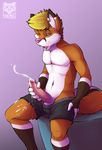  2014 5_fingers anthro blonde_hair blue_eyes boxers_(clothing) brown_fur brown_markings canine clothed clothing cum cum_on_leg cumshot d3mo digital_media_(artwork) erection facial_markings fox foxeh front_view fur hair hand_on_thigh hi_res holding_penis humanoid_penis male mammal markings masturbation multicolored_fur navel one_eye_closed open_mouth orange_fur orgasm penile_masturbation penis pink_nose pink_penis simple_background sitting solo topless underwear watermark white_fur 