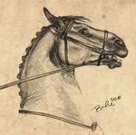  2016 ambiguous_gender bridle bust_portrait equine feral horse mammal mane monochrome open_mouth pencil_(artwork) portrait reins rufciu side_view signature simple_background sketch solo traditional_media_(artwork) 