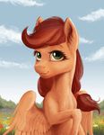  brown_hair day equine eyelashes fan_character feathered_wings feathers female feral fur gor1ck grass green_eyes hair looking_at_viewer mammal my_little_pony outside pegasus sitting sky smile solo tan_feathers tan_fur wings 