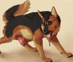 2016 anatomically_correct anatomically_correct_penis animal_genitalia animal_penis canine canine_penis dog erection feral fur german_shepherd jewelry knot looking_at_viewer male mammal marjani necklace penis precum simple_background solo tongue tongue_out 
