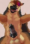  anatomically_correct anatomically_correct_penis animal_genitalia animal_penis at balls canine canine_penis dog feral german_shepherd invalid_tag knot licking licking_lips male mammal marjani penis piercing solo tongue tongue_out viewer 