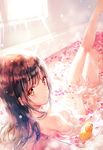  :o afloat bangs bath bathing bathtub blush breasts brown_eyes brown_hair day feet_out_of_frame from_behind hiten_(hitenkei) indoors knees_up leg_up light_rays long_hair looking_at_viewer looking_back medium_breasts nude original parted_lips partially_submerged petals petals_on_liquid rose_petals rubber_duck sano_mana solo sunlight water wet wet_hair window 