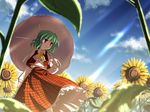  kazami_yuuka studio_sdt tagme touhou 