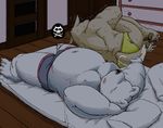  ambiguous_species armpits bear belly blush bulge canine clothing futon male mammal muscular nipples pain pillow polar_bear shaking skull_and_crossbones sleeping sweat underwear unknown_artist 