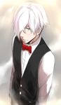  blue_eyes bow death_parade decim_(death_parade) formal hair_over_one_eye isshiki_(ffmania7) male_focus red_bow silver_hair solo suit upper_body 