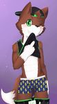  backwards_cap blush boxers_(clothing) brown_fur bulge canine clothed clothing clothing_lift cub fox fur green_eyes kake0078 male mammal middle_finger navel one_eye_closed shirt shirt_lift simple_background solo teenager underwear white_fur young 