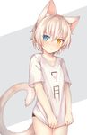  animal_ears blue_eyes blush cat_ears cat_tail catboy clothes_writing collarbone cowboy_shot eyebrows eyebrows_visible_through_hair hair_between_eyes heterochromia kida_kuro_mu looking_at_viewer male_focus original otoko_no_ko panties shiro_(kida_kuro_mu) shirt shirt_tug short_hair short_sleeves slit_pupils solo t-shirt tail two-tone_background underwear white_hair white_shirt yellow_eyes 