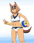  1girl animal_ears ball monster_girl monster_musume_no_iru_nichijou polt shorts smile solo standing sunglasses tail 
