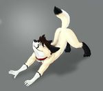  anthro breath canine collar cream.pup dog eyes_closed fur hair male mammal nude raised_tail sigh simple_background smile solo 