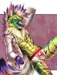  5_fingers abs anthro bulge canine eyebrows fur green_fur hair inner_ear_fluff looking_at_viewer male mammal midriff navel purple_hair purple_nose smile solo sorafoxyteils teeth white_hair 