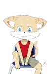  anthro black_nose blue_eyes claws clothed clothing inner_ear_fluff kemoshota signature simple_background sitting white_background 