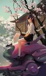  architecture arm_cannon artstation_sample black_skirt blue_sky brown_eyes brown_hair character_name cherry_blossoms closed_mouth d.va_(overwatch) day dress_shirt east_asian_architecture facepaint facial_mark gatling_gun gun headphones image_sample li_moly lips long_hair looking_at_viewer mecha meka_(overwatch) mountain notebook overwatch pink_lips pleated_skirt red_ribbon ribbon school_uniform shirt shoes sitting skirt sky sleeves_rolled_up socks solo tree weapon whisker_markings white_legwear white_shirt 