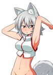  :o adapted_costume animal_ears armpits arms_up bare_shoulders blush bottomless breasts commentary_request crop_top groin inubashiri_momiji katsumi5o looking_at_viewer medium_breasts midriff no_hat no_headwear no_panties out-of-frame_censoring parted_lips red_eyes shirt short_hair sideboob silver_hair sleeveless sleeveless_shirt solo tail touhou tsurime v-shaped_eyebrows white_shirt wolf_ears wolf_tail 