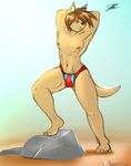  abs anthro armpits bagelcollector bulge canine clothing hands_behind_head male mammal muscular navel nipples outside smile solo standing swimsuit 