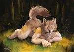  2016 5_fingers animal_genitalia anthro bare_back black_nose brown_eyes canine detailed_background fluffy fluffy_tail fur grey_fur looking_at_viewer male mammal nude on_ground outside pawpads scale_(artist) sheath solo stick tan_fur teeth wolf 
