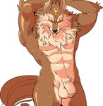  abs anthro balls blush canine colored looking_at_viewer male mammal mayar muscular nude pecs penis puzzle_&amp;_dragons set simple_background solo video_games white_background 