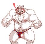  ! blush boar body_hair censored chest_tuft clothing embarrassed happy_trail male mammal mosaic_censorship penis poking_out porcine pubes simple_background taoren tuft underwear 