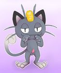  2016 alolan_meowth balls cute_fangs erection feline front_view half-closed_eyes looking_at_viewer male mammal meowth nintendo penis pok&eacute;mon smile solo standing tapering_penis video_games wattacat 